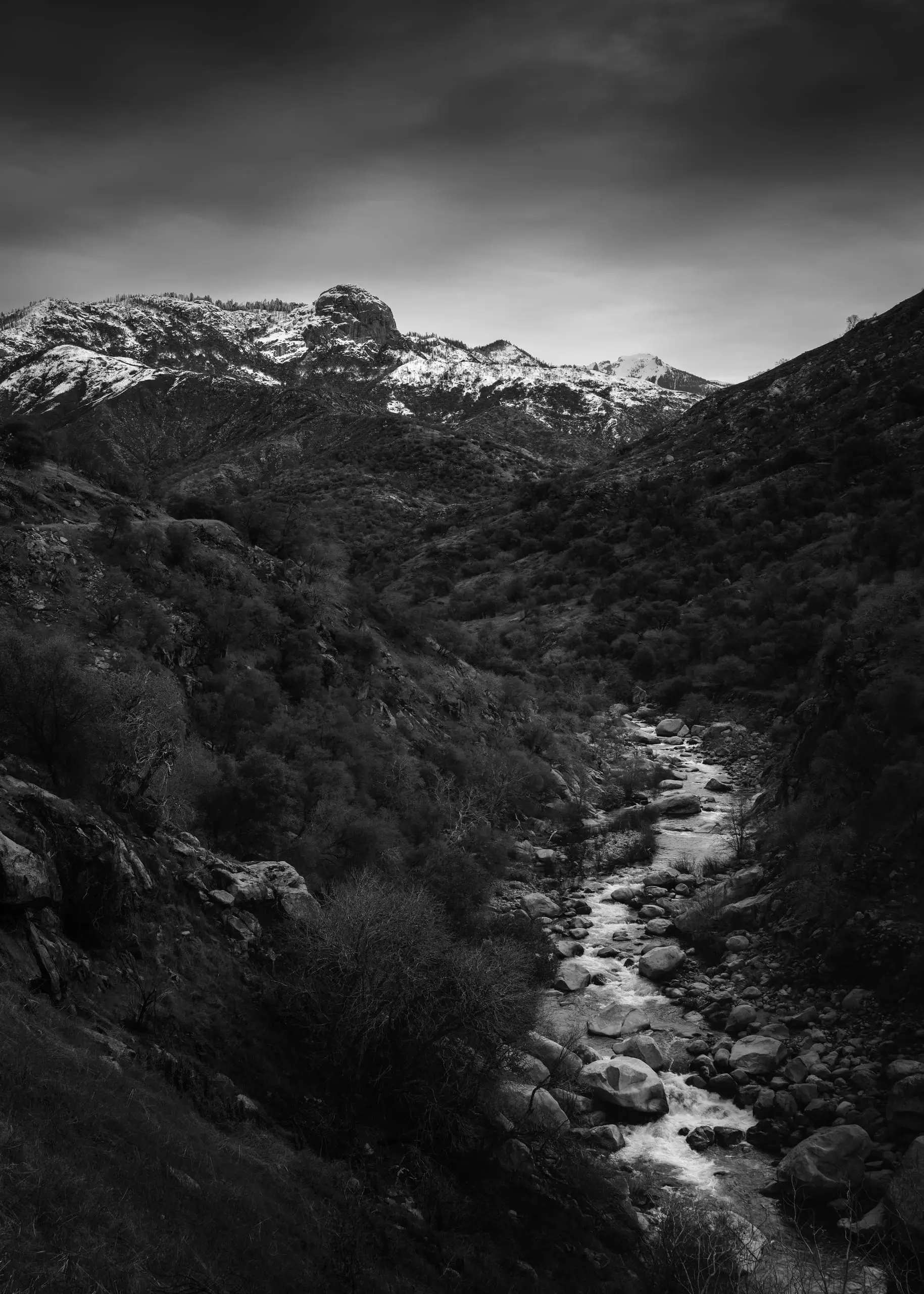 Black and white California landscape