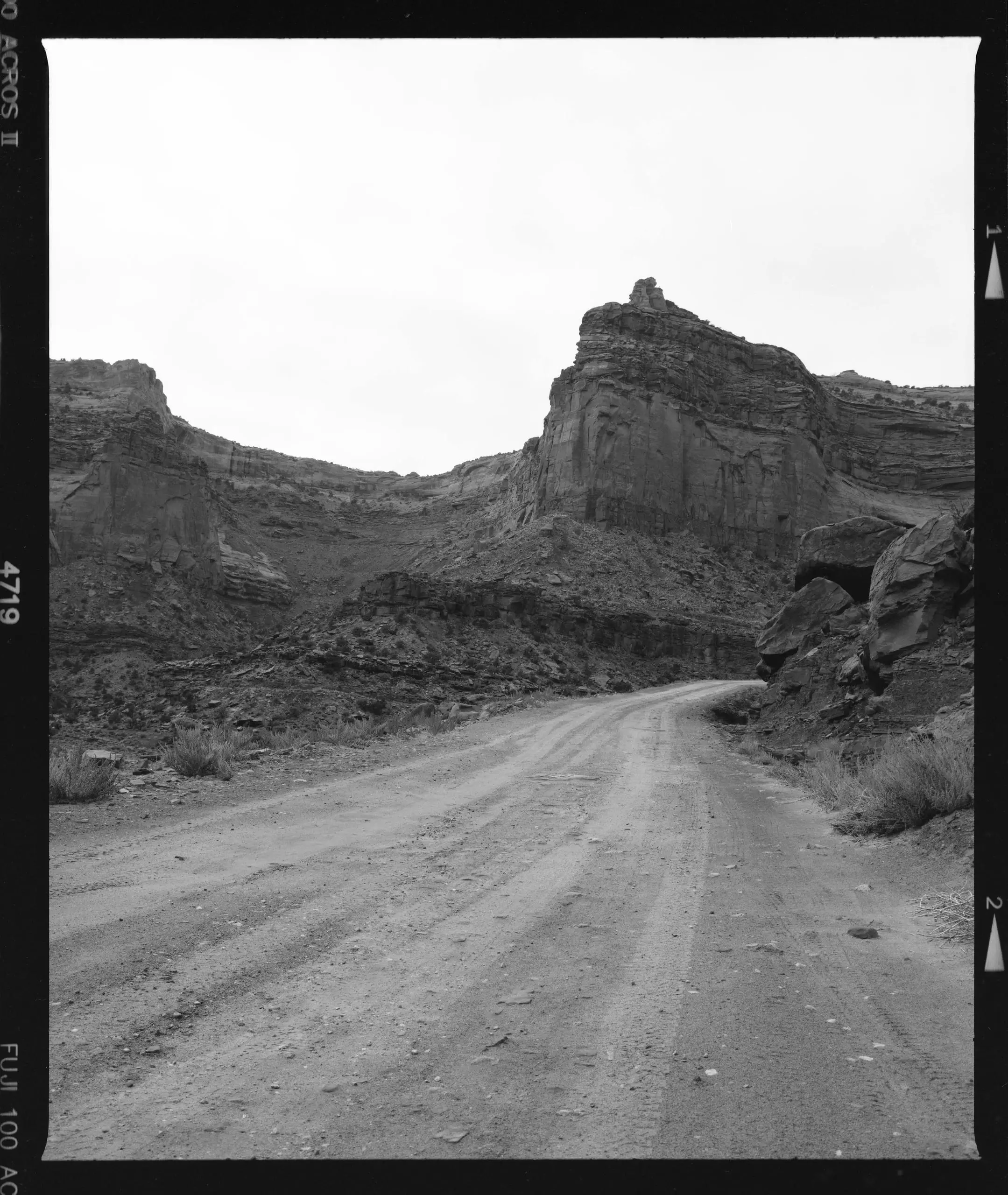 Black and white film landscape with trees