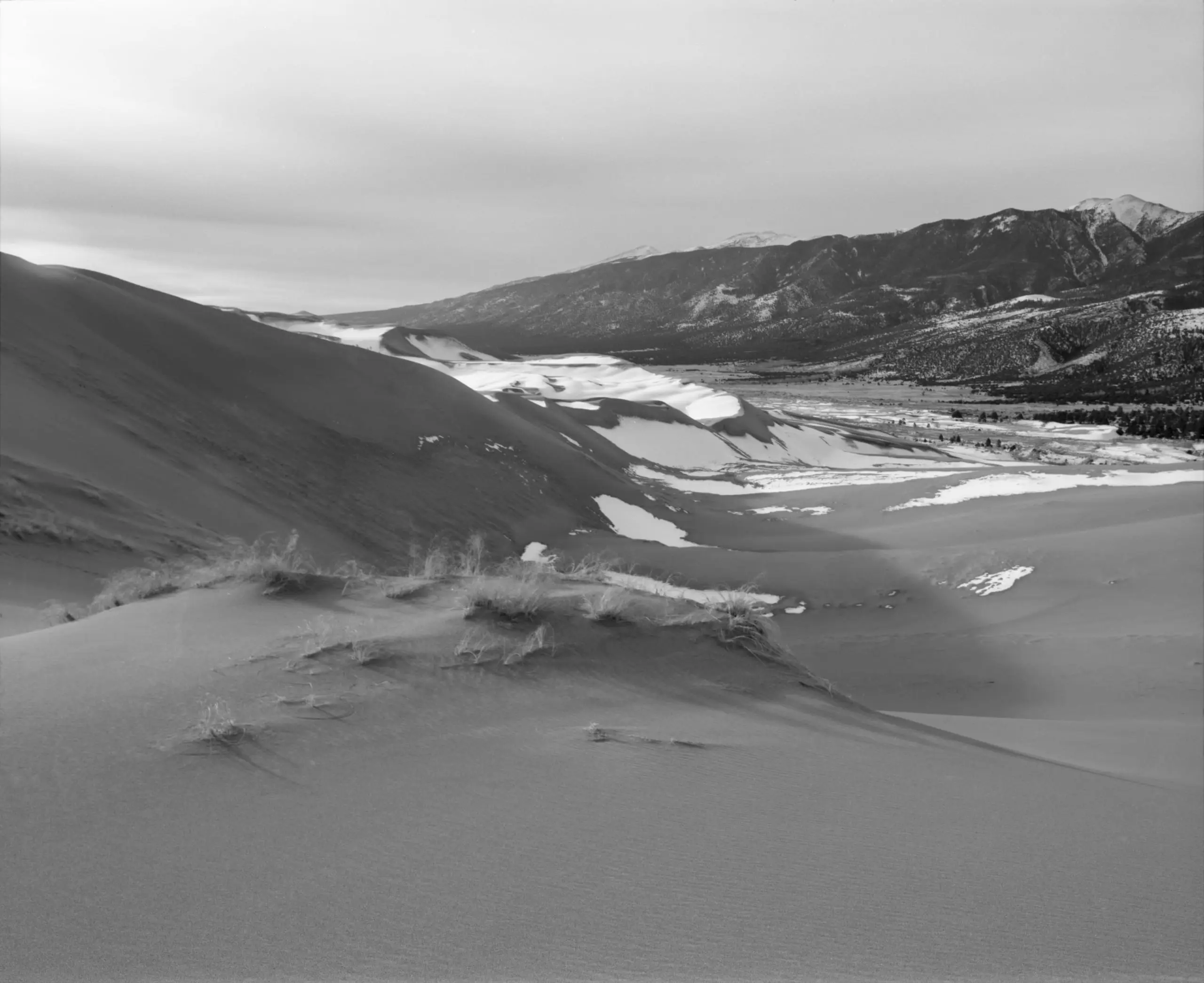 Black and white film photograph of sand dunes
