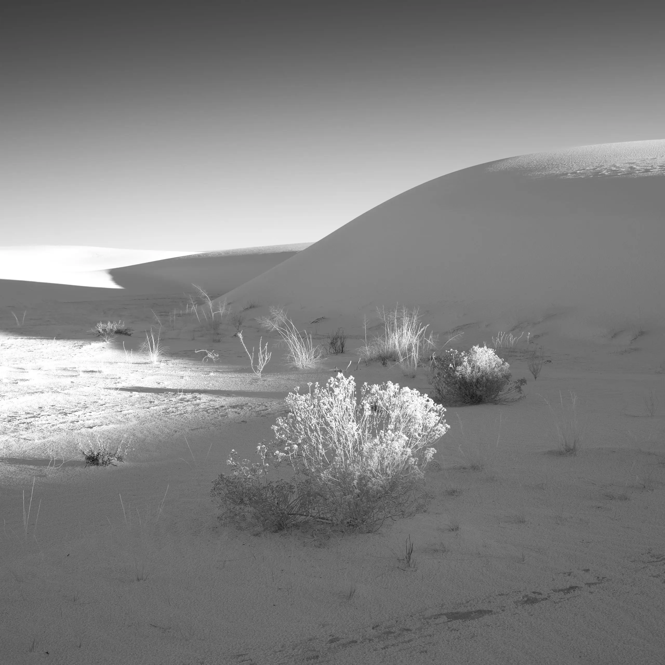 Minimalist black and white photograph of desert dunes