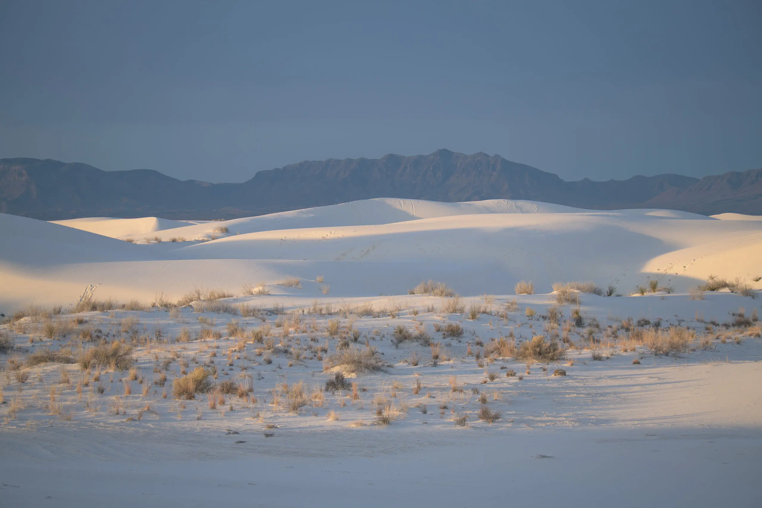 Desert landscape with scattered vegetation