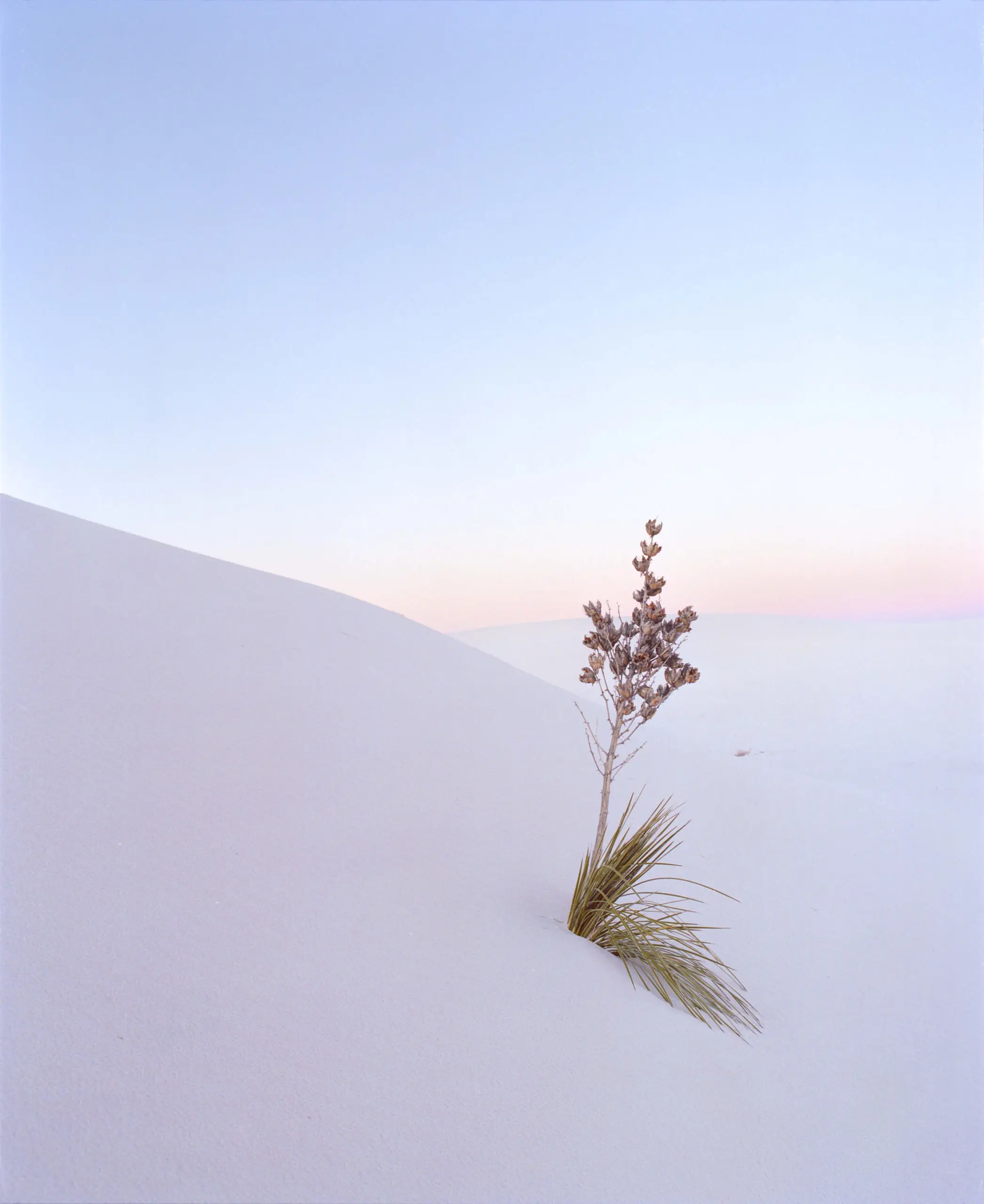 White sand dunes on colour film